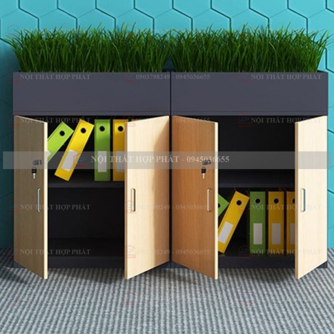 Tủ Hồ Sơ Gỗ Thấp THSTG049
